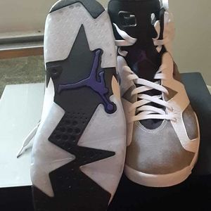 Retro jordan 6 flint